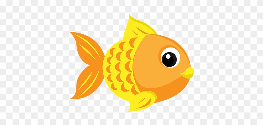 1/3 - Fish Clipart #394067