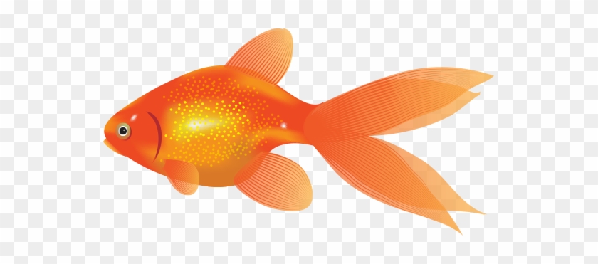 The Attention Span Of Your Average Visitor Is Lowering - Animation Fish #394079