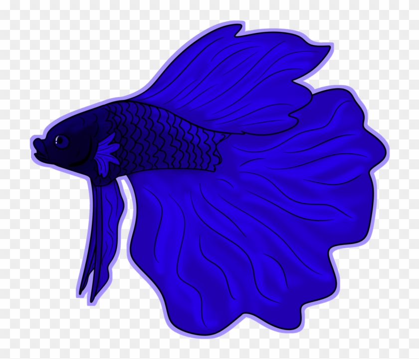 Betta Fish By Bearhugbooyah - Garibaldi (fish) #394102