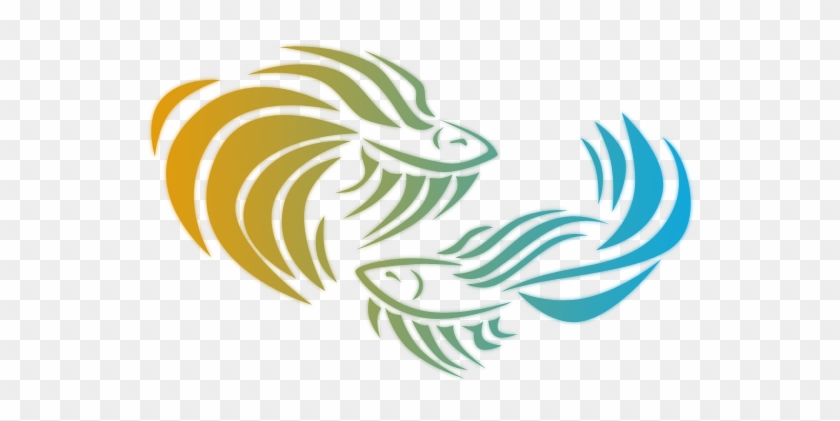 Bettas By Augustrealms - Illustration #394119