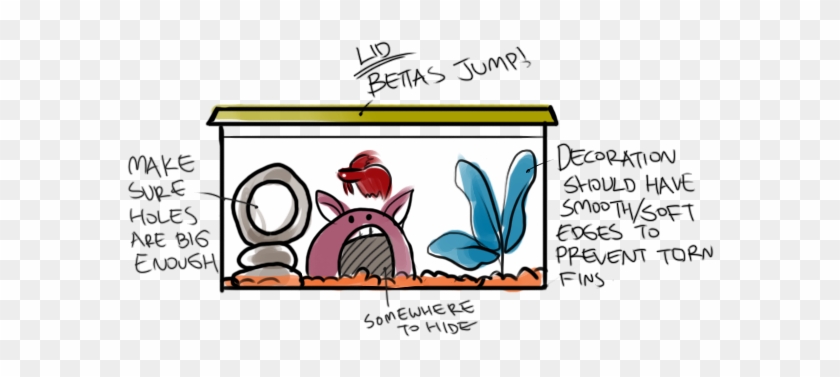 Introduction To Bettafish Care - Betta In Their Natural Habitat #394149