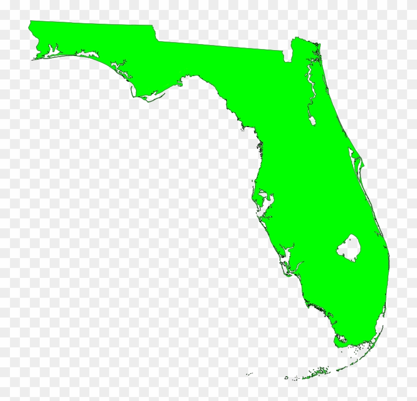 Florida Curricular Materials Adoption Review Committee - Topographic Map Of Florida #394450