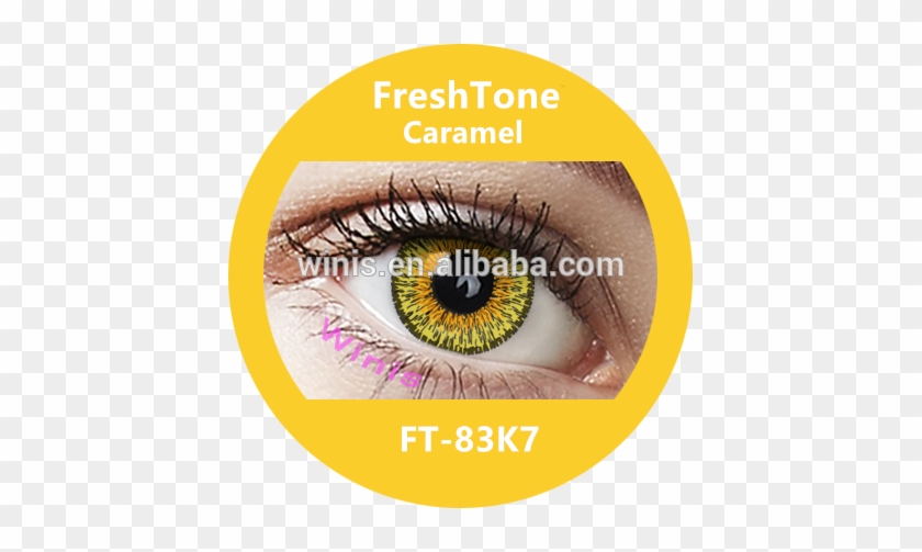 Freshtone Eye To Eye Color Contact Lens 15mm Korea - Fresh Tone Pure Hazel #394566