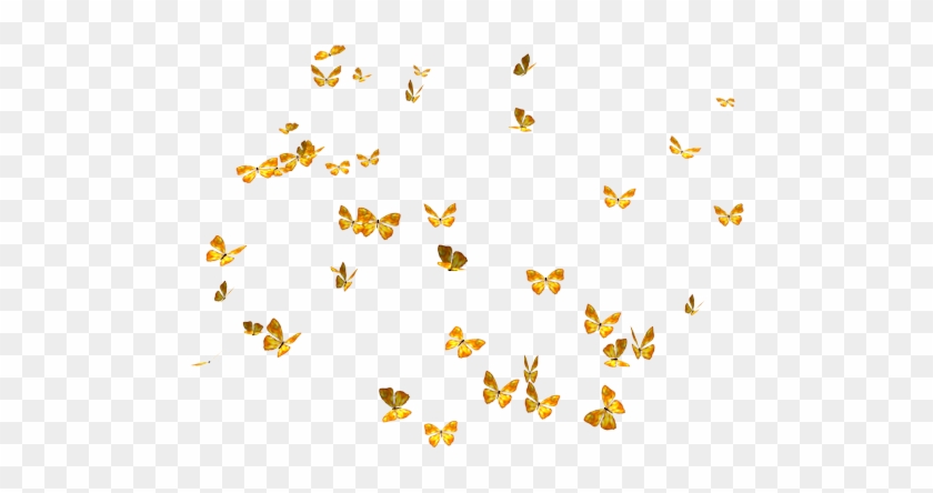 Flying Butterflies Png Image - Butterfly Png #394776