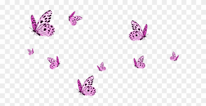 Transparent Butterflies Png Image - Seventeen Vernon Edit Gifs #394798