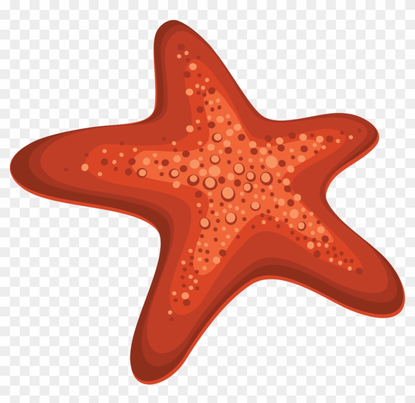 Pin Starfish Clipart Transparent Background - Dibujo Estrella De Mar #394862