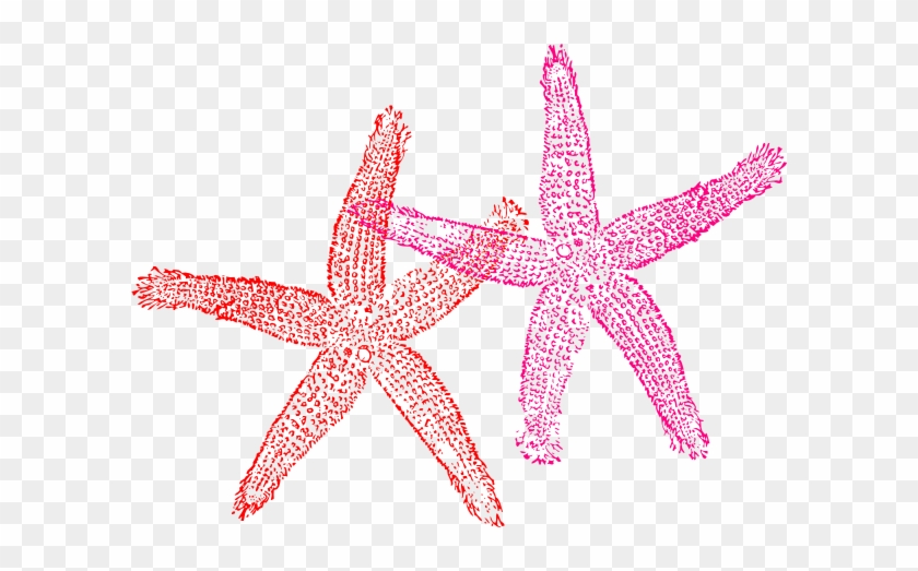 Starfish Transparent Background Clipart #394865