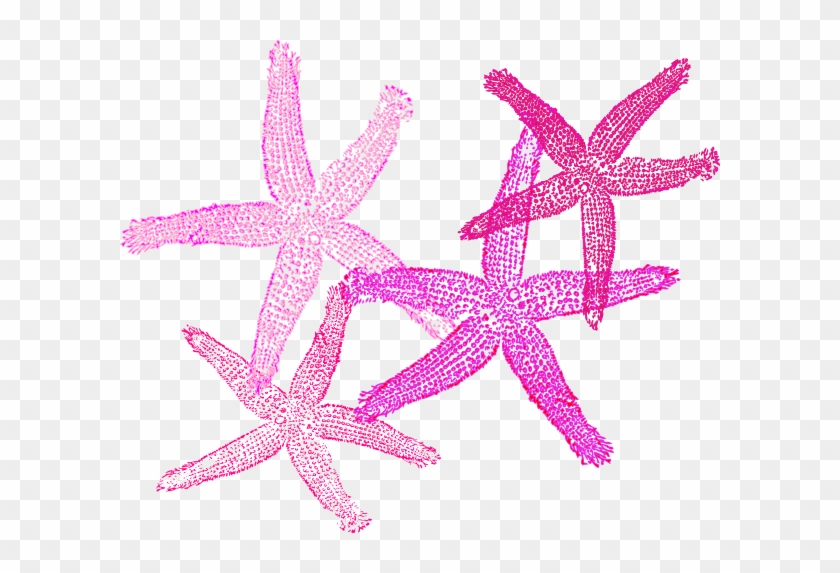 Animated Starfish #394868