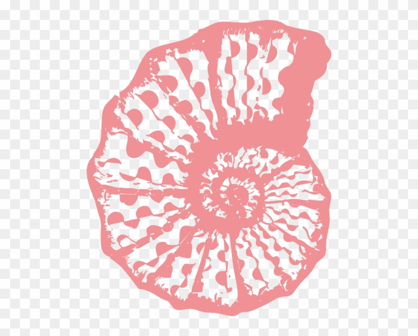 Coral Sea Shell Clip Art - Coral Colored Sea Shell #394894
