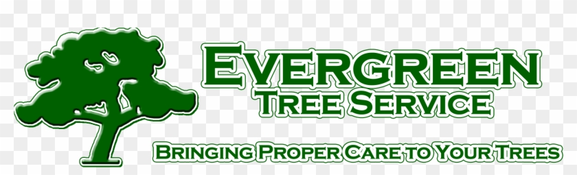 Evergreen Tree Service Mobile Alabama - Evergreen Tree Service #395070