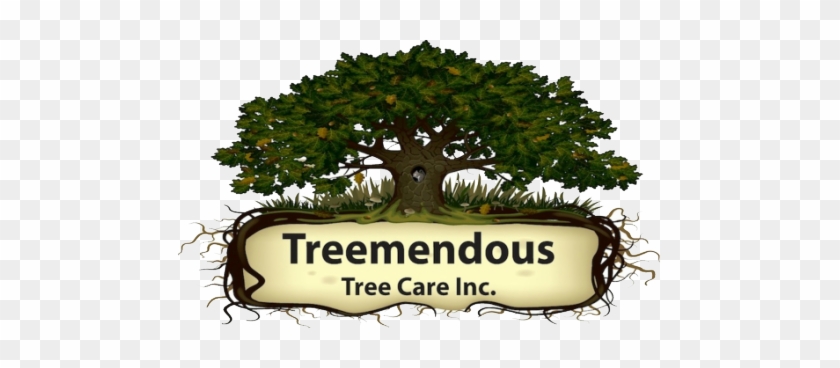 Tree Services In Delaware - Delaware #395088