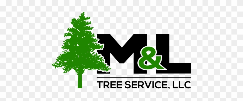M & L Tree Services - Tree Silhouette Clip Art #395091