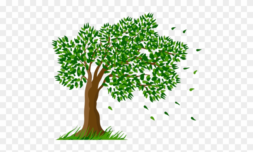 Clipart Transparent Background Tree #395096
