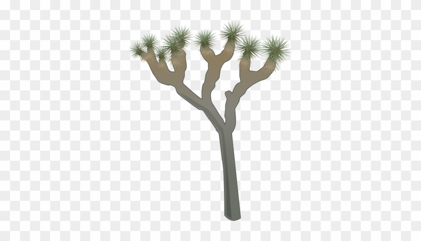 Joshua Tree Clipart - Joshua Tree #395166