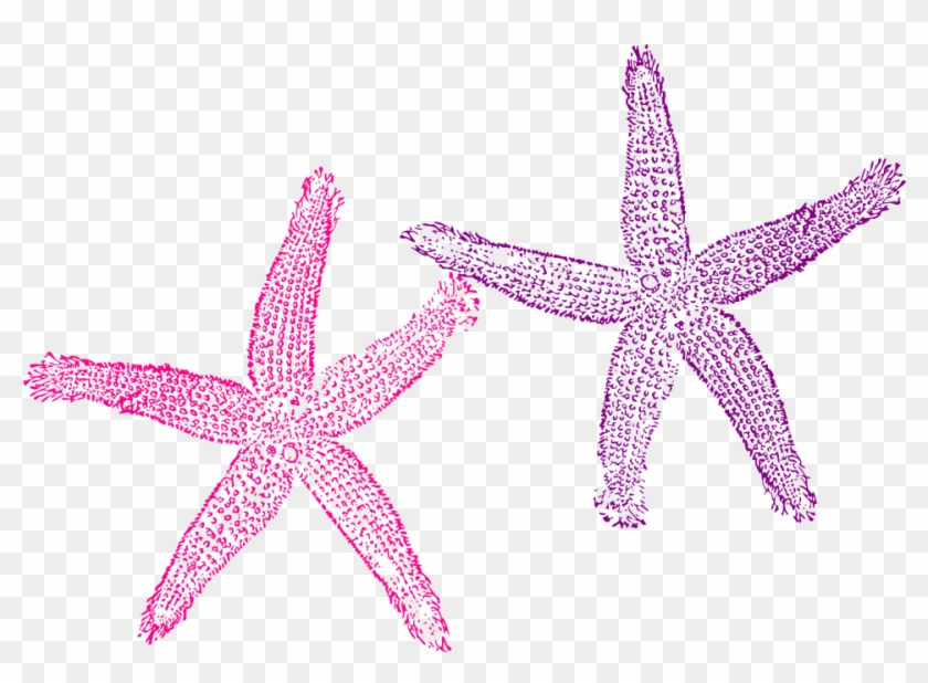 Purple Star Cliparts 26, Buy Clip Art - Beach Wedding Welcome Bag #395405