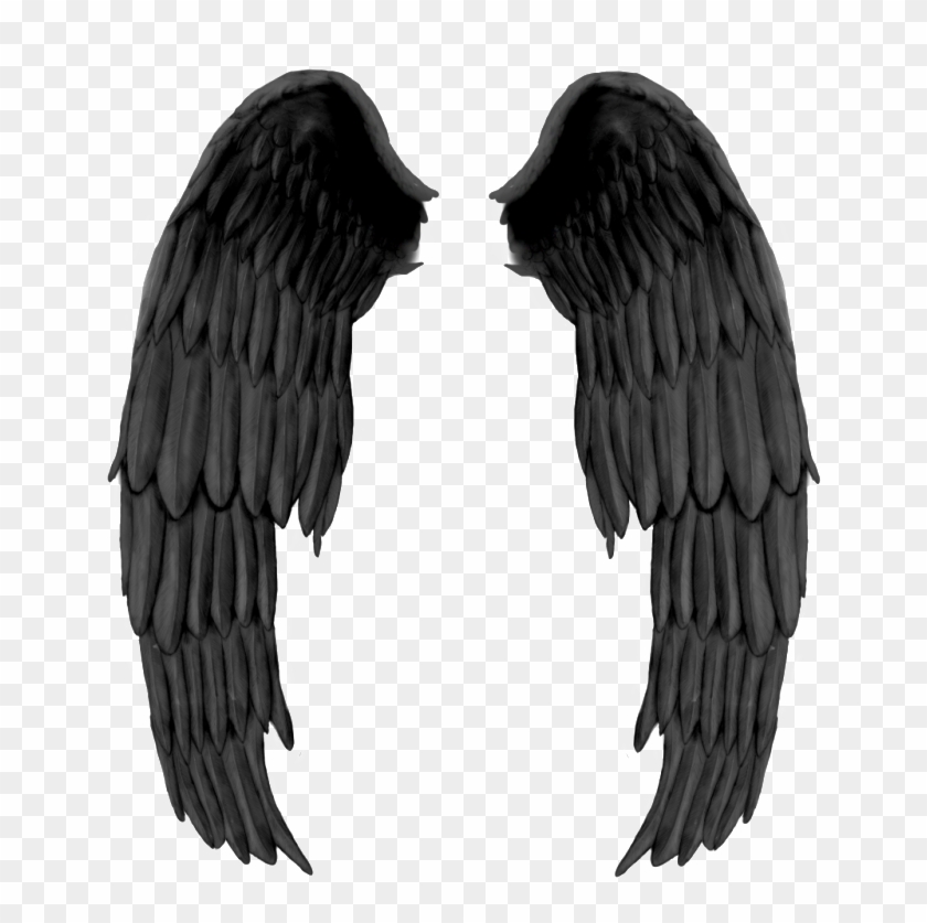 Black Evil Wings Png - Alas De Angel Negras #395831