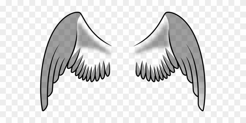 Angel Wings Feathers Bird Angel Angel Ange - Alas De Una Ave #395841
