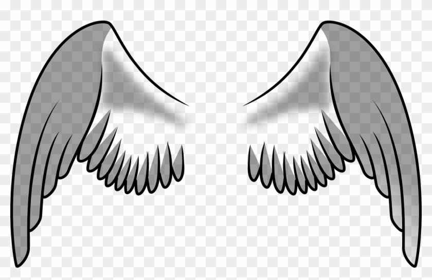 Free Vector Angel Wings Collection - Alas De Una Ave #395867