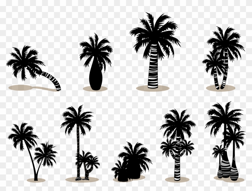 Arecaceae Silhouette Scalable Vector Graphics - Arecaceae Silhouette Scalable Vector Graphics #396072