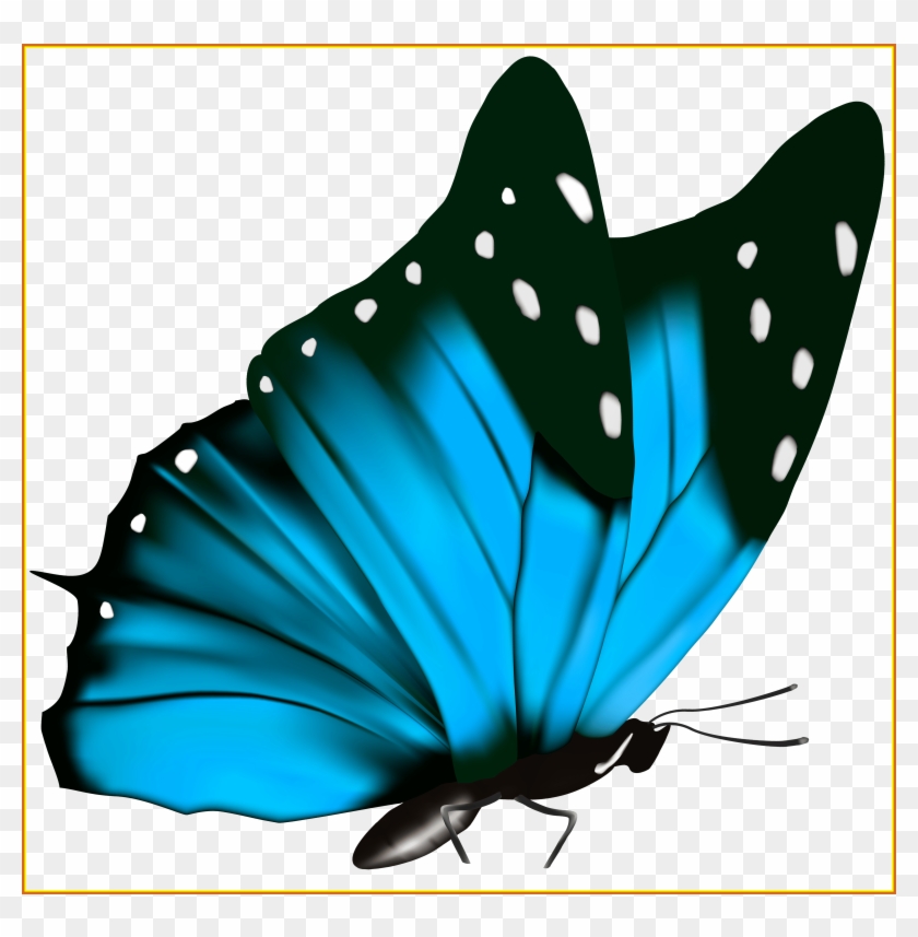 Blue Butterfly Transparent #396364