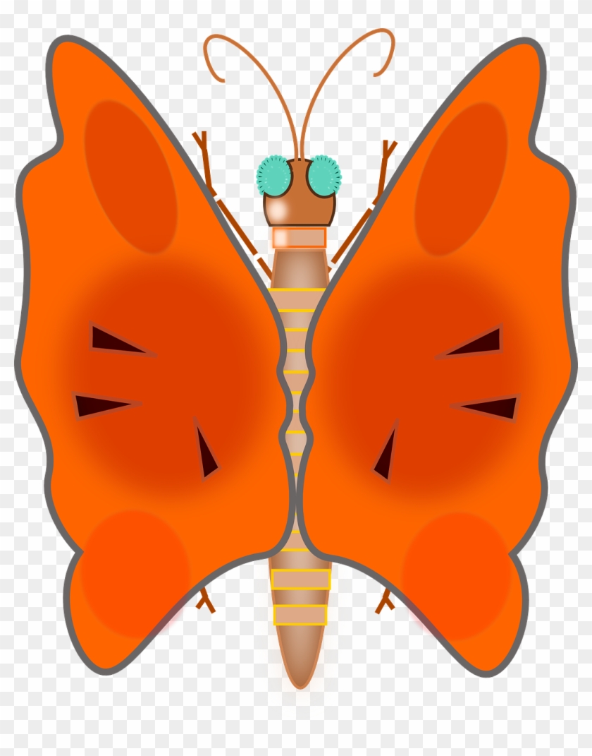 Butterfly Lovely Colors Bug Png Image - Butterfly Lovely Colors Bug Png Image #396591