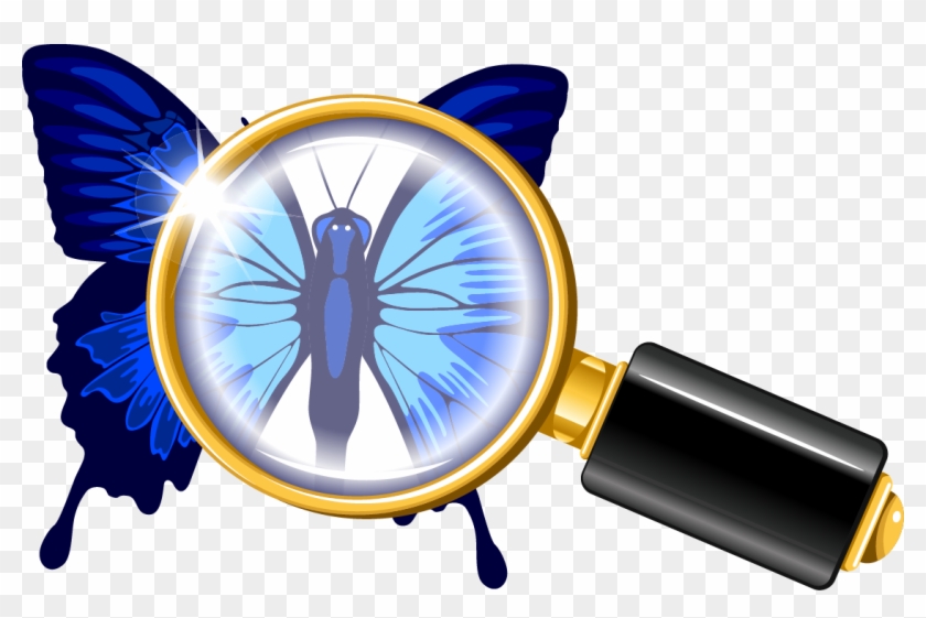 Butterfly Magnifying Glass Euclidean Vector Illustration - Butterfly Magnifying Glass Euclidean Vector Illustration #396634