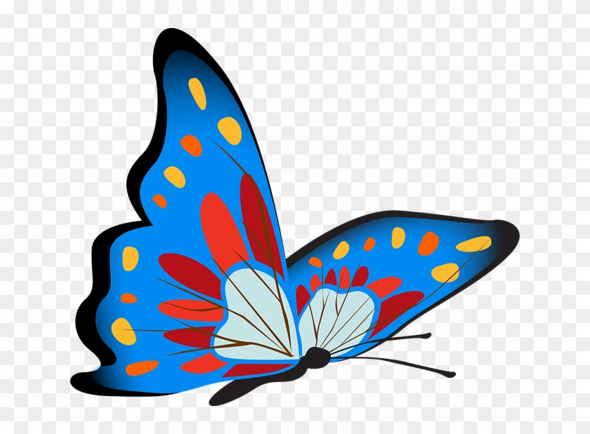 Butterfly, Colorful, Blue, Insect, Decoration, Decor - Butterfly Colorful #396635