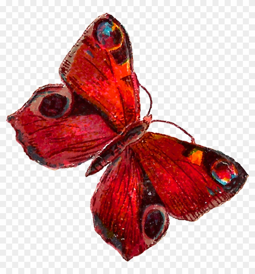 The Second Digital Butterfly Clip Art Is Of A Red Butterfly - Red Butterfly Png #396856