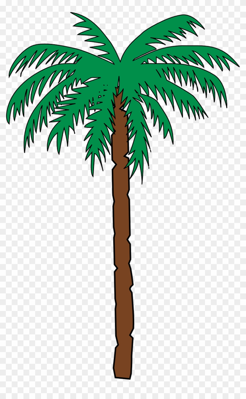 Palm Tree Date Tropical Green Png Image Haiti Coat Of Arms Free Transparent Png Clipart Images Download