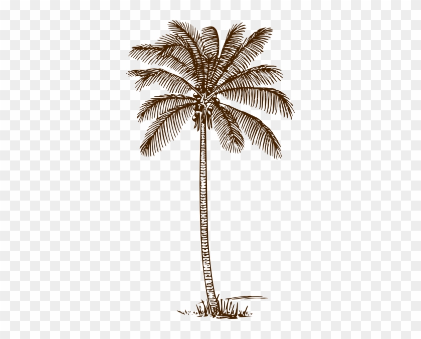 Palm Tree Clip Art At Clker - Palm Tree Line Drawing #396859