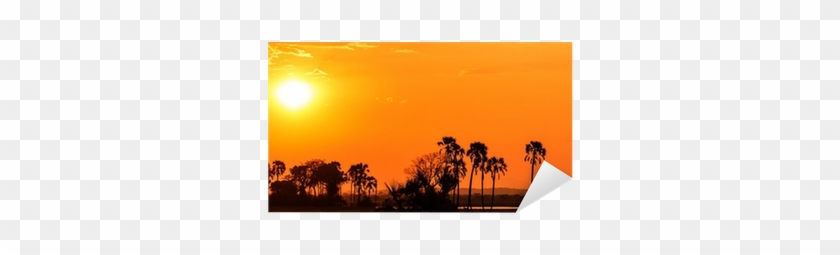 Orange Glow Sunset In A Palm Trees Landscape Sticker - Silhouette #396905