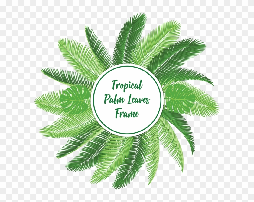 Tropical Palm Leaves Frame With Typography, Tropical, - Tropics #396912