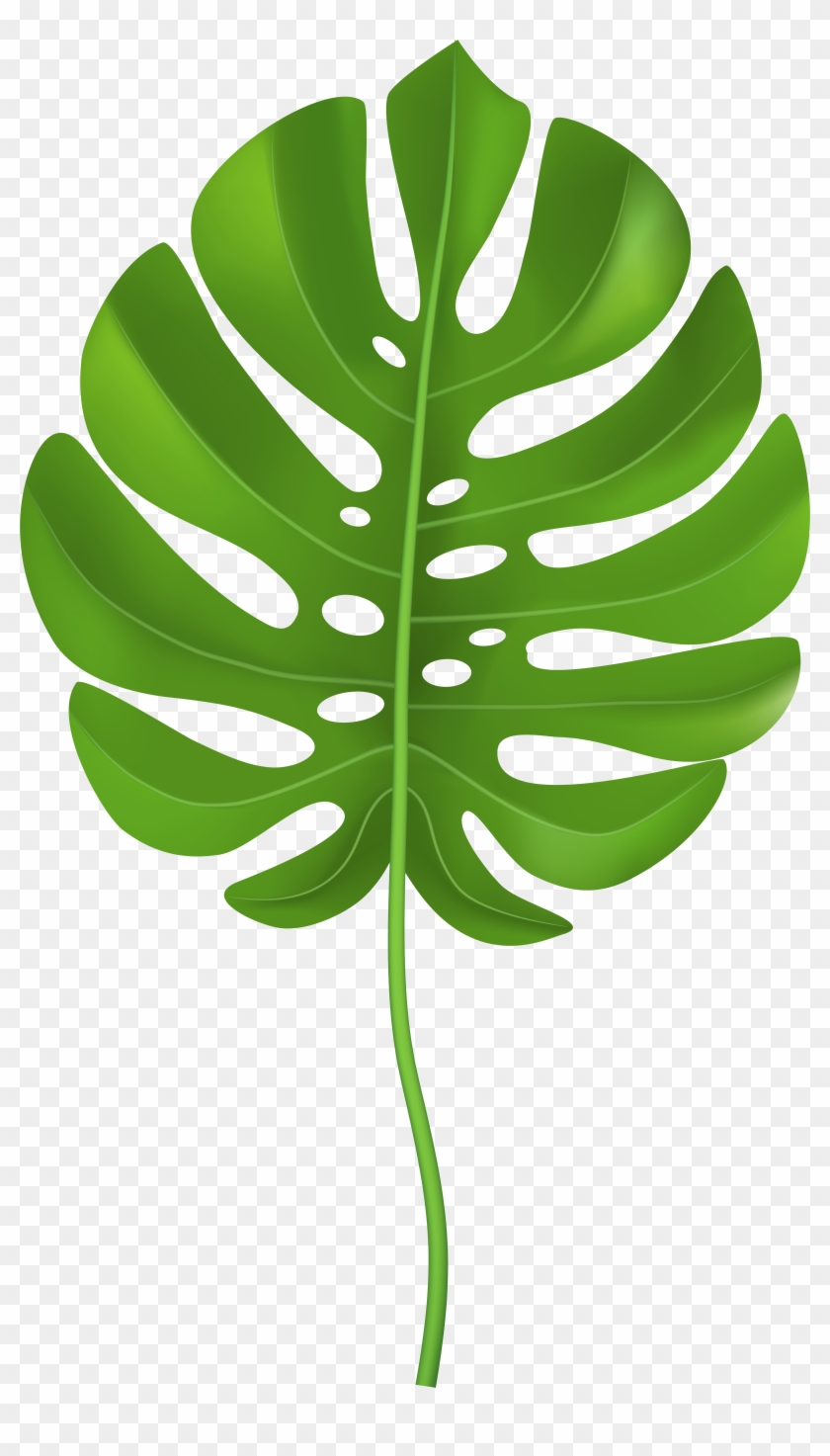 Tropical Palm Leaf Transparent Png Clip Art Image - Tropical Leaf Clip Art Png #396918