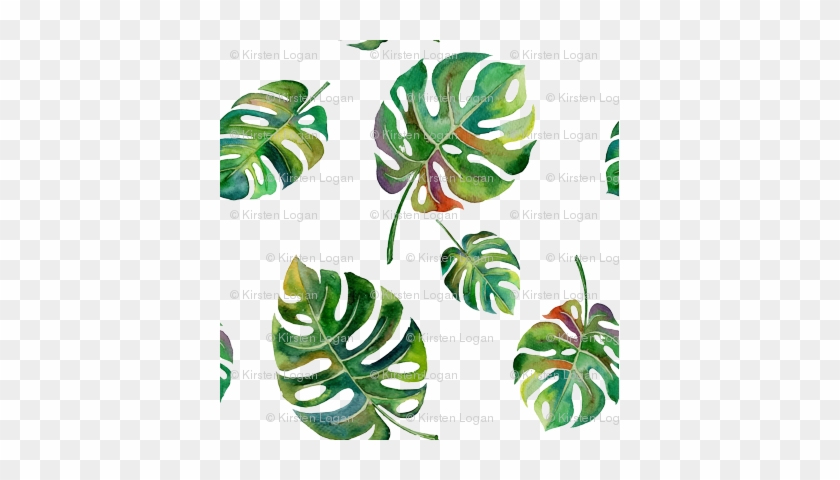 Tropical Island Palms Palm Leaves Watercolor - Water Color Leaves #396920