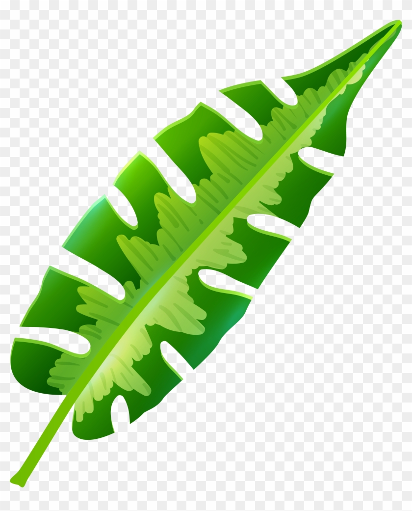 Image Gallery Of Tropical Leaf Clip Art - Image Gallery Of Tropical Leaf Clip Art #396941