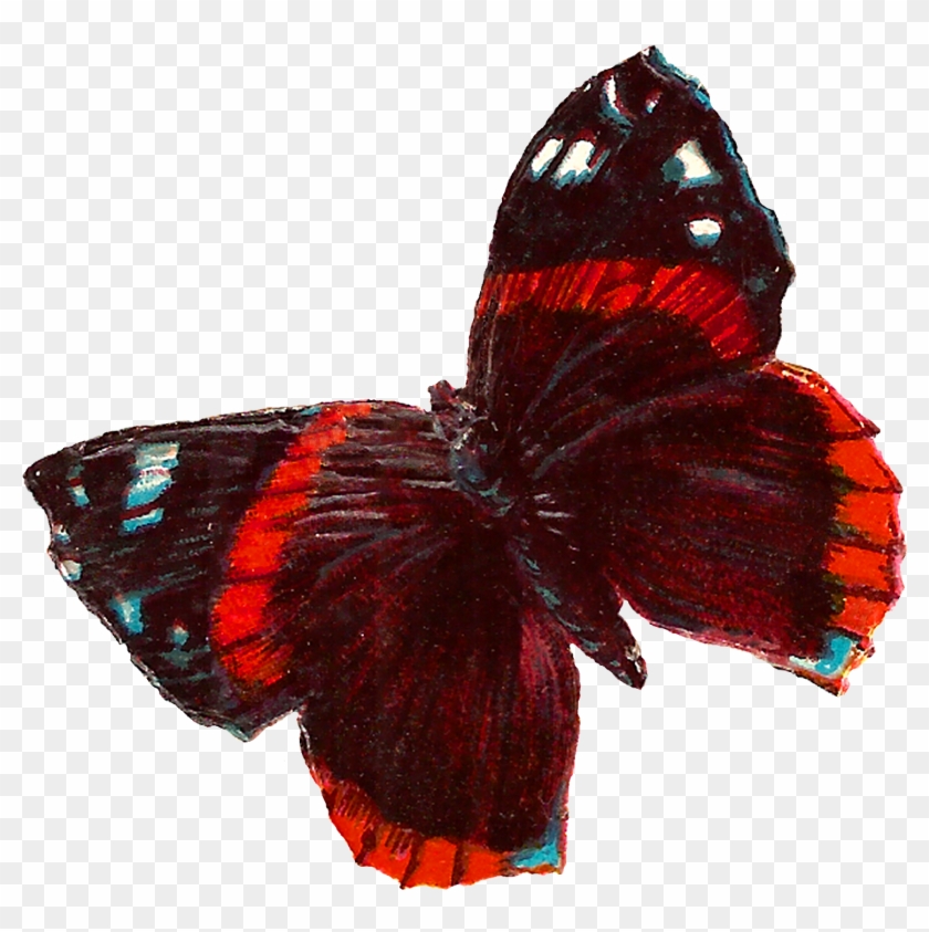 The Second Digital Butterfly Clip Art Is Of A Red Butterfly - Clip Art #396931