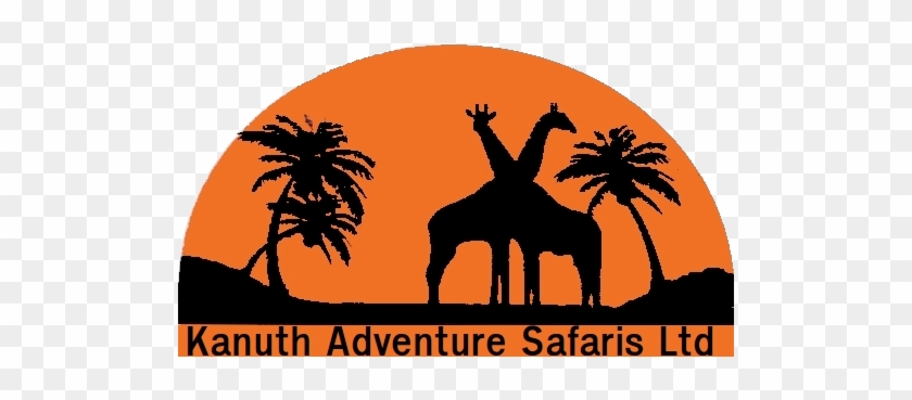 Kanuth Adventure Safari #396958