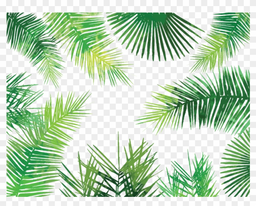 Tropical Birds - Palm Leaves Transparent Background #396964