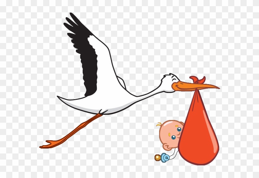 Stork Carrying Baby Boy - Newborn Stork #397066