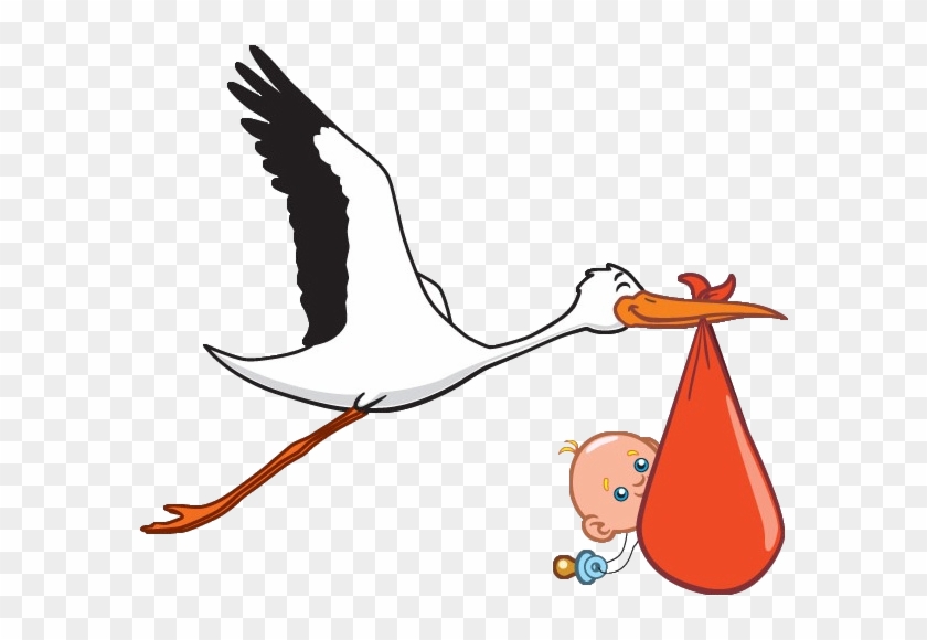 stork carrying baby boy