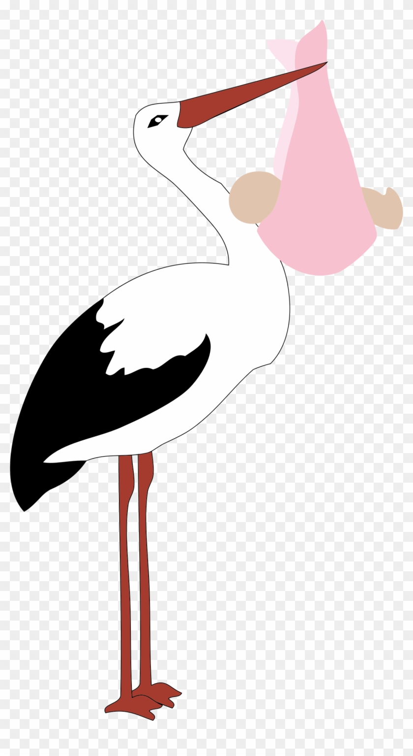 Big Image - Baby Girl Stork Greeting Cards #397076