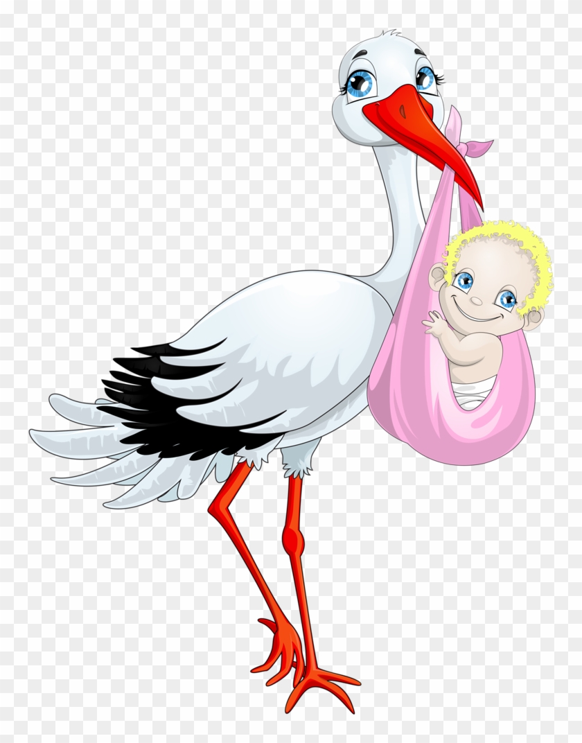 Album - Vector Graphics #397088