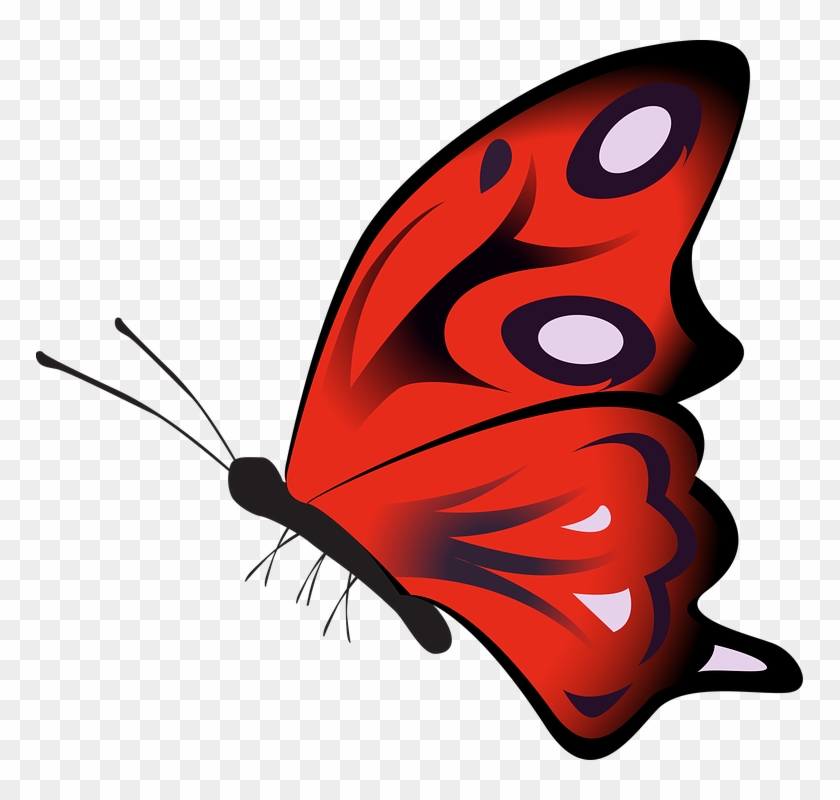 Red Butterfly Cliparts 14, - Butterfly Red Png #397103