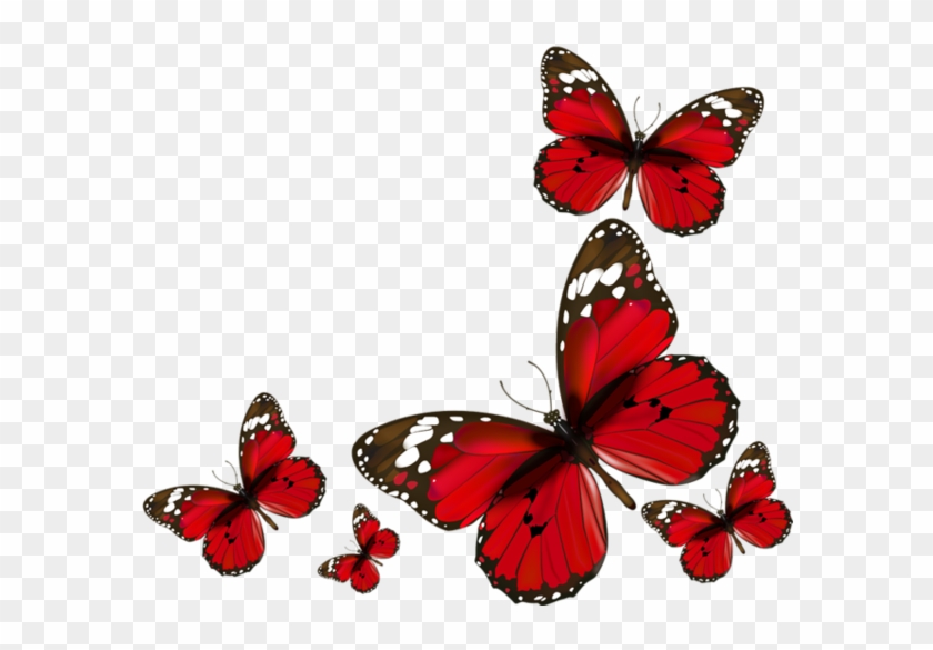 Papillons Red Butterflies Png - Red Butterflies Png #397104