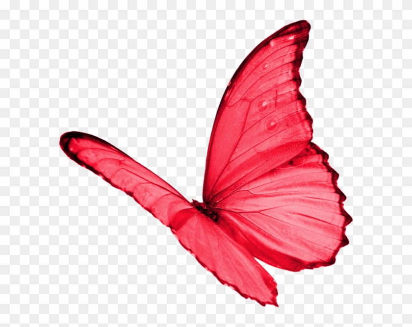 Papillon Clipart Red Butterfly - Red Butterfly Transparent #397111