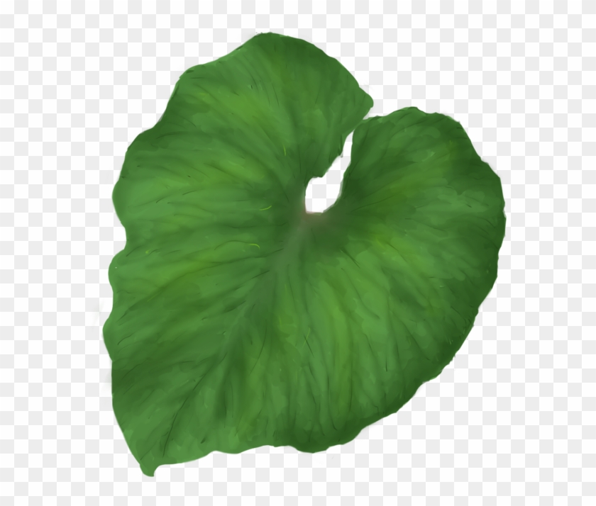 Green Leaf Png - Green Tropical Leaf Png #397120