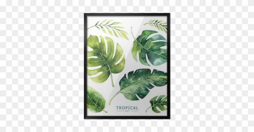 Hand Drawn Watercolor Tropical Plants Set - Tropical Plants Waterclor #397128