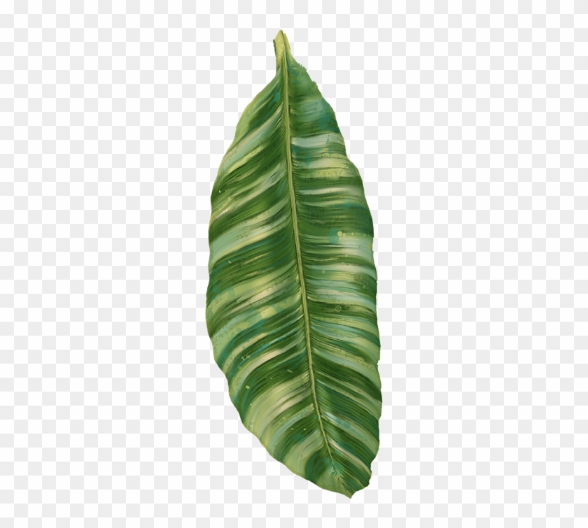 Peachy Banana Leaves Tropical Greenery Homey Image - Tropical Leaves Transparent Png #397130