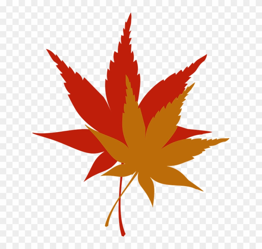 Orange Leaves Cliparts 21, Buy Clip Art - Fall Leaves Clip Art #397144