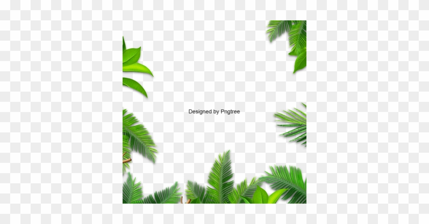 Leaves Palm, Leaves Palm, Leaf, Palm Png And Vector - Leaf #397147